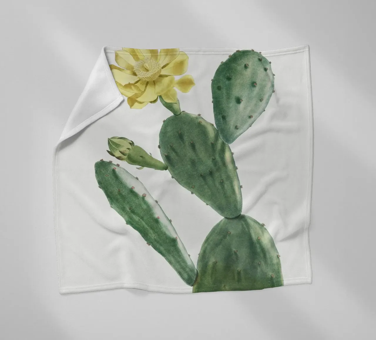 Cactus Opuntia Inermis coperta in pile da vintageshop