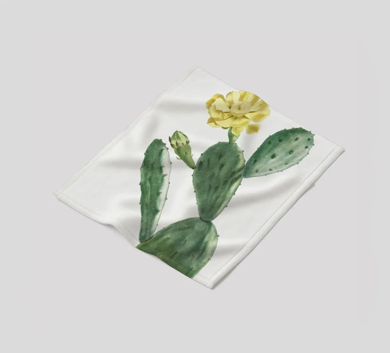 Cactus Opuntia Inermis coperta in pile da vintageshop