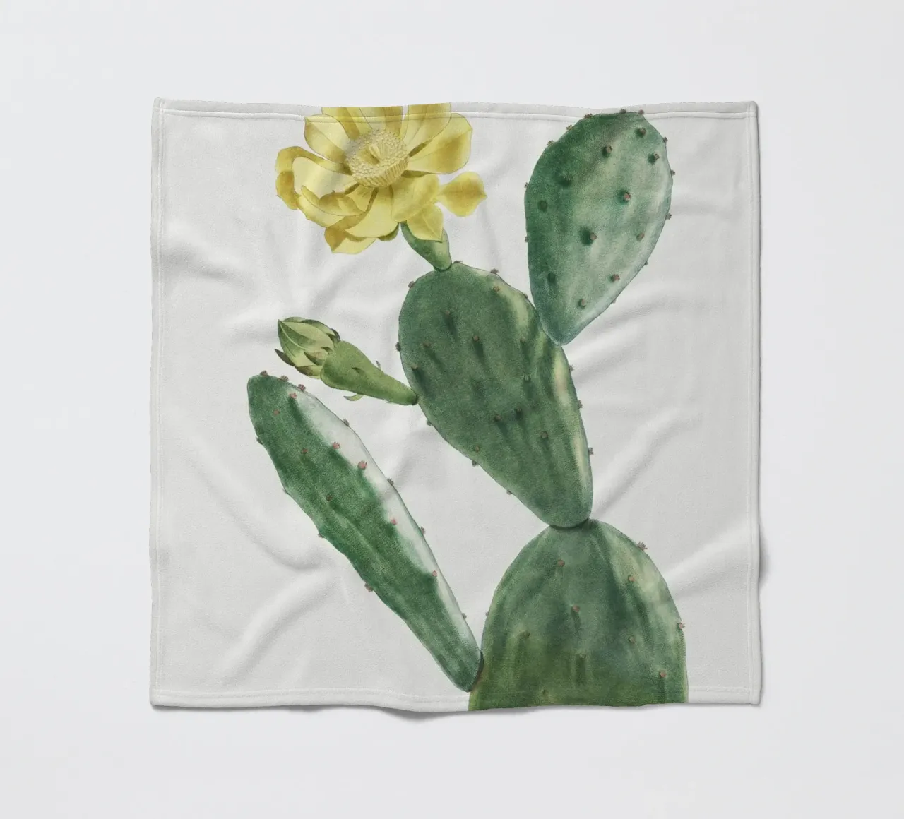Cactus Opuntia Inermis coperta in pile da vintageshop
