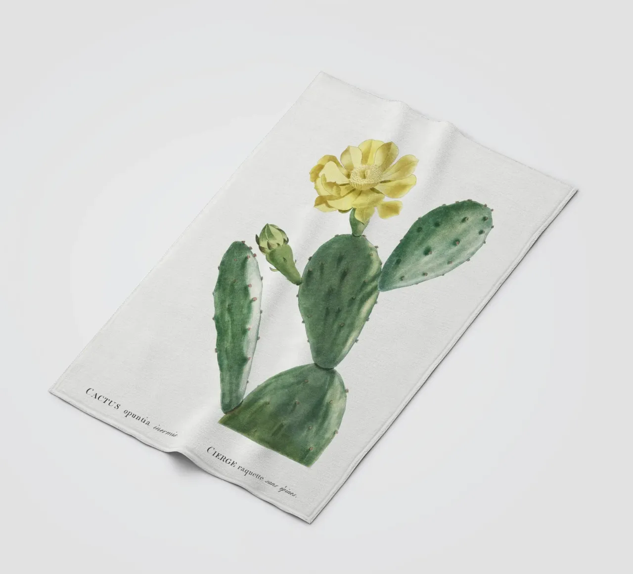 Cactus Opuntia Inermis coperta in pile da vintageshop