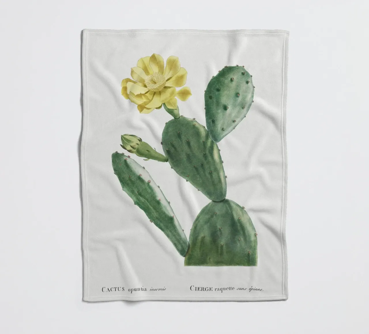 Cactus Opuntia Inermis coperta in pile da vintageshop