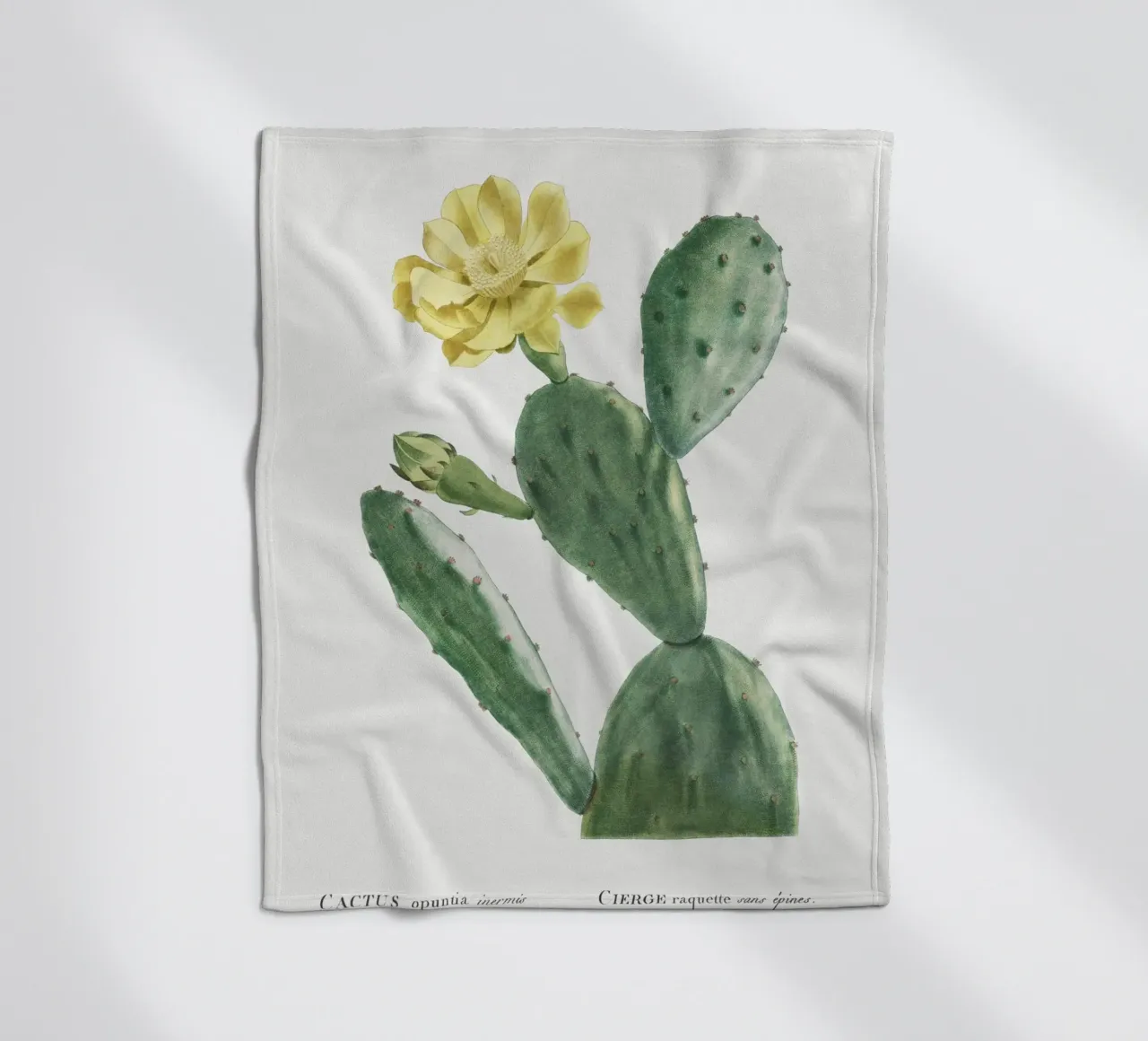 Cactus Opuntia Inermis coperta in pile da vintageshop