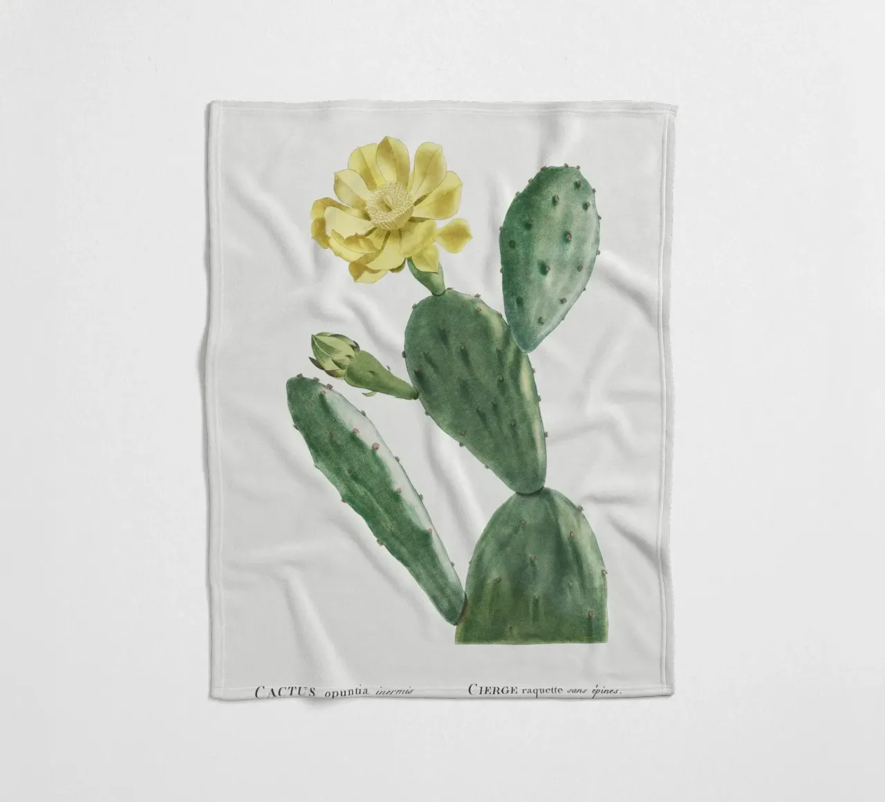 Cactus Opuntia Inermis coperta in pile da vintageshop