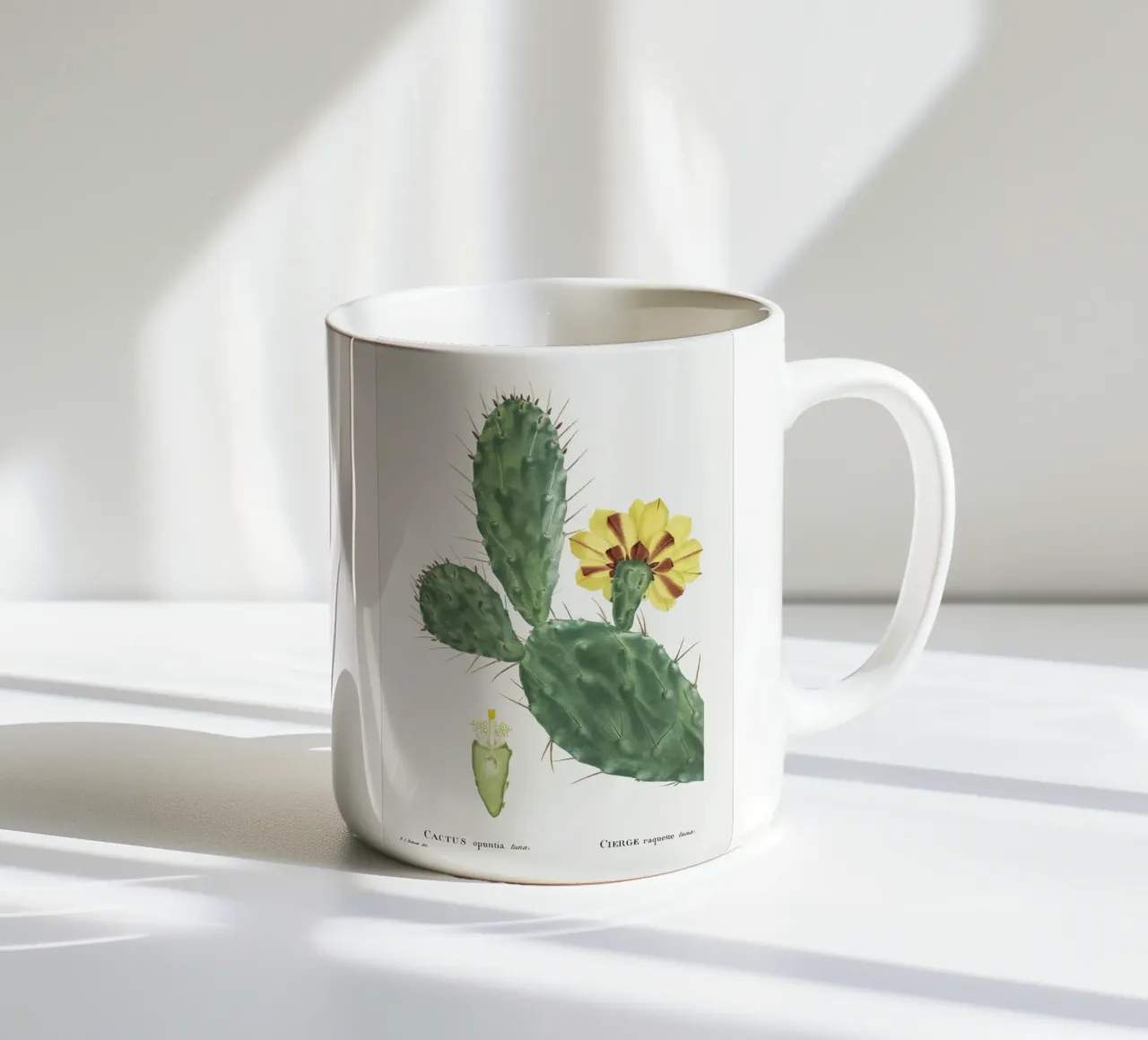 Cactus Opuntia Tuna tazza in ceramica da vintageshop