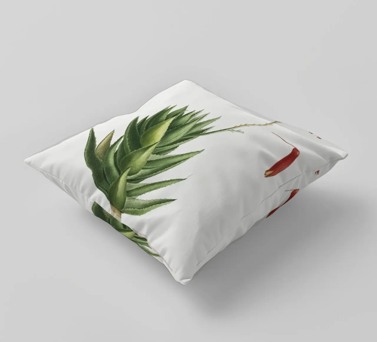 Aloe Mitroeformis cuscino da vintageshop