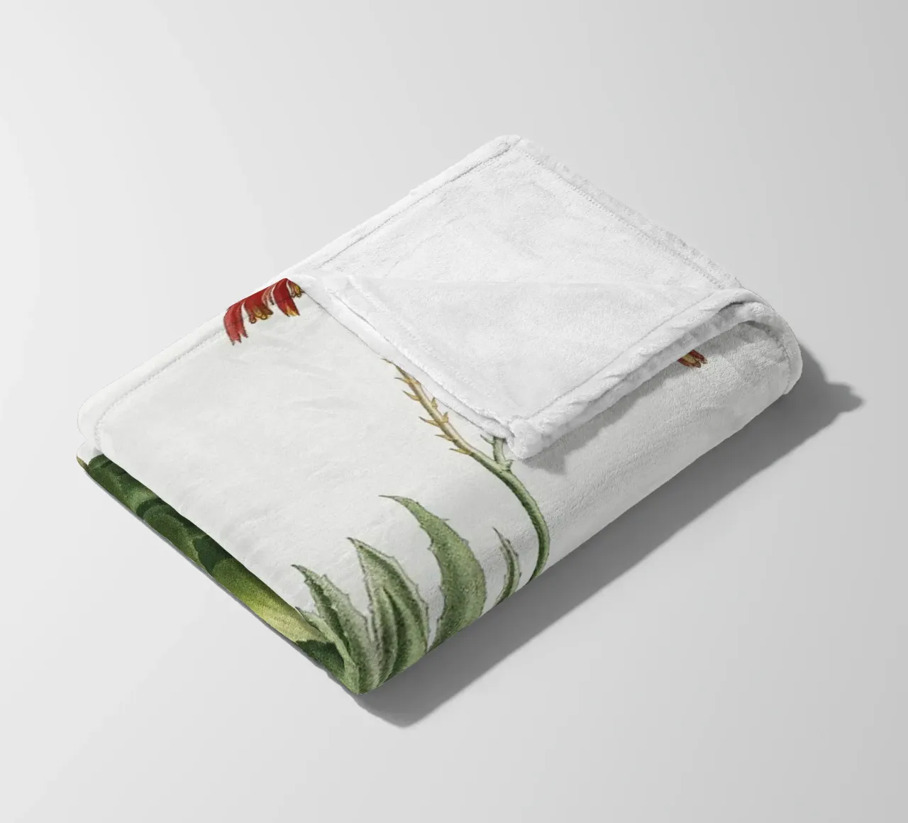 Aloe Mitroeformis coperta in pile da vintageshop