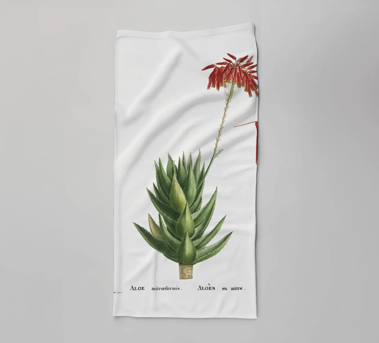 Aloe Mitroeformis asciugamano da bagno da vintageshop