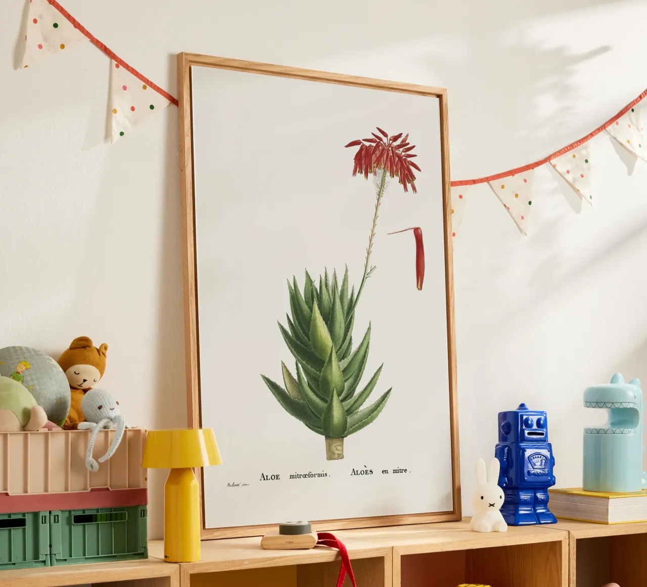 Aloe Mitroeformis plexiglass da vintageshop