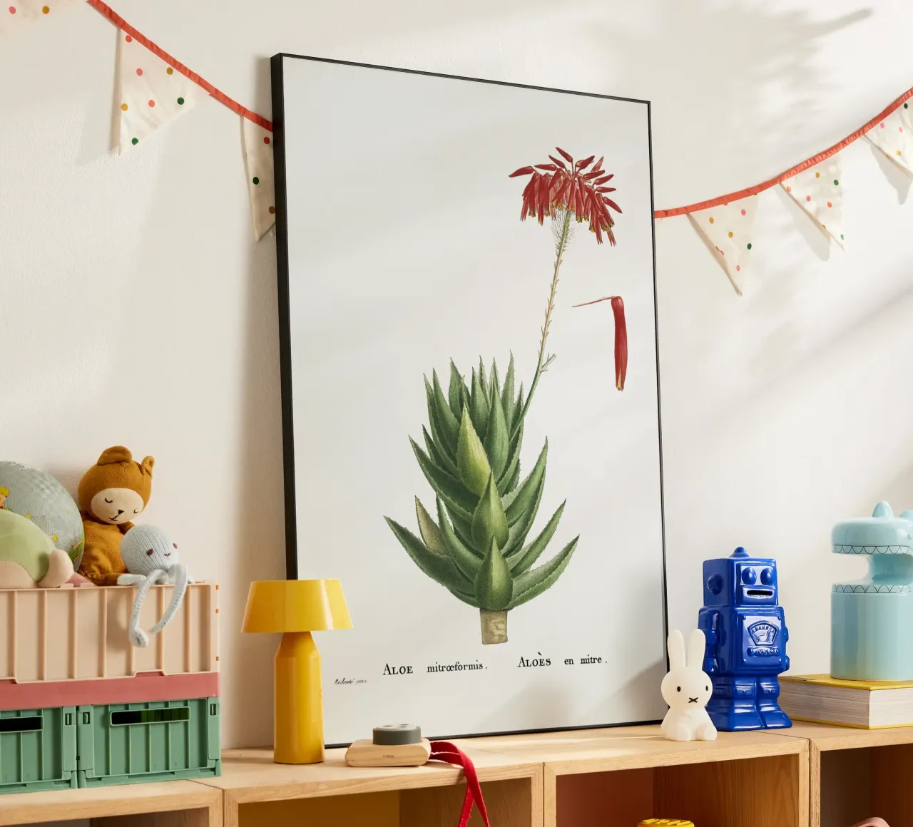 Aloe Mitroeformis alluminio dibond da vintageshop
