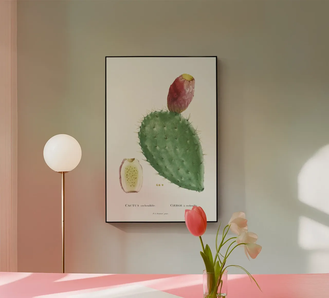 Cactus Cochenillifer plexiglass da vintageshop