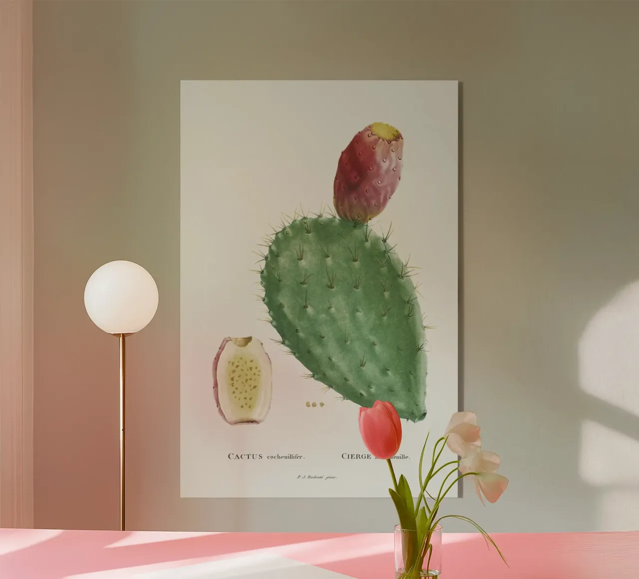 Cactus Cochenillifer plexiglass da vintageshop