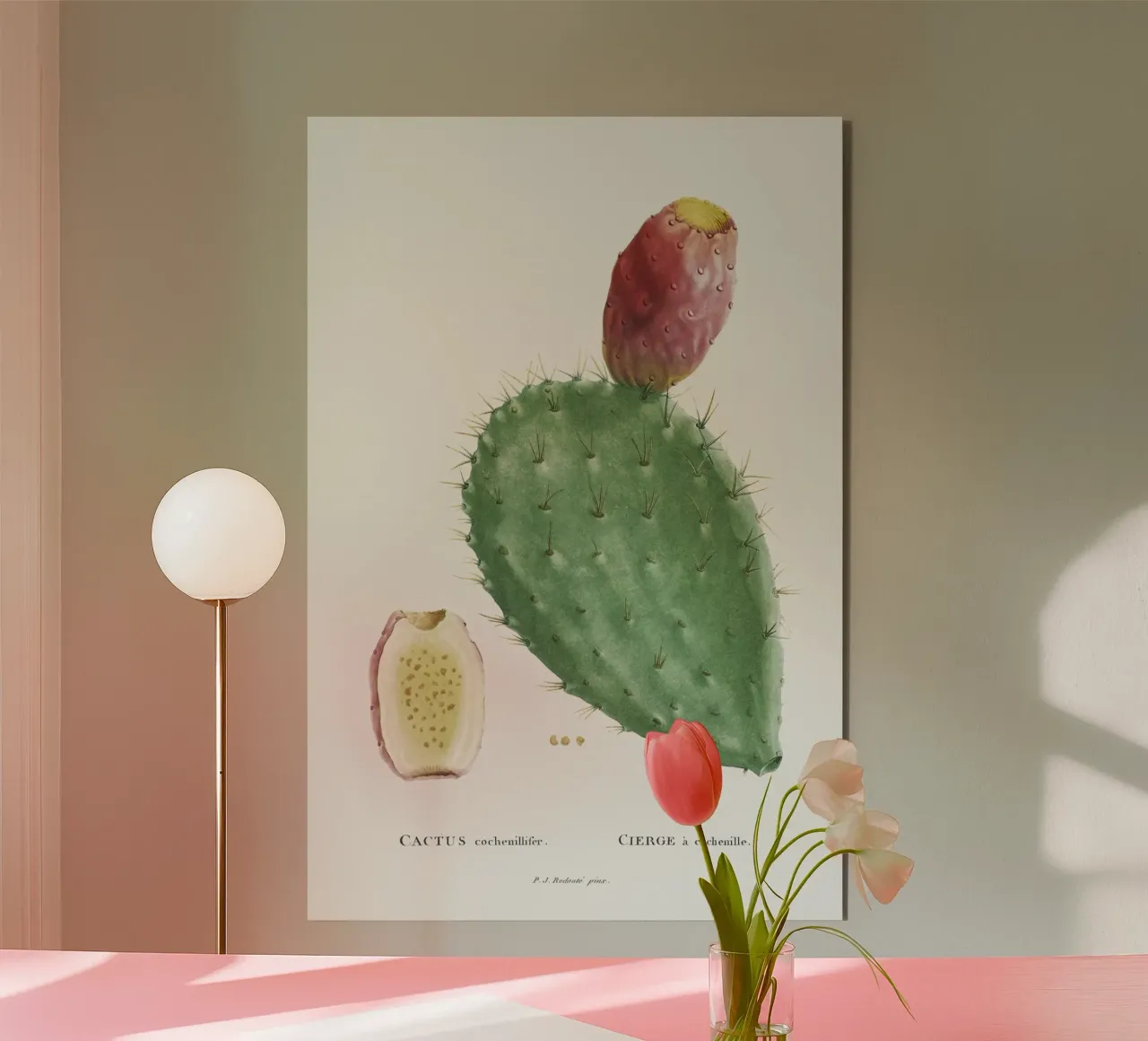 Cactus Cochenillifer alluminio dibond da vintageshop