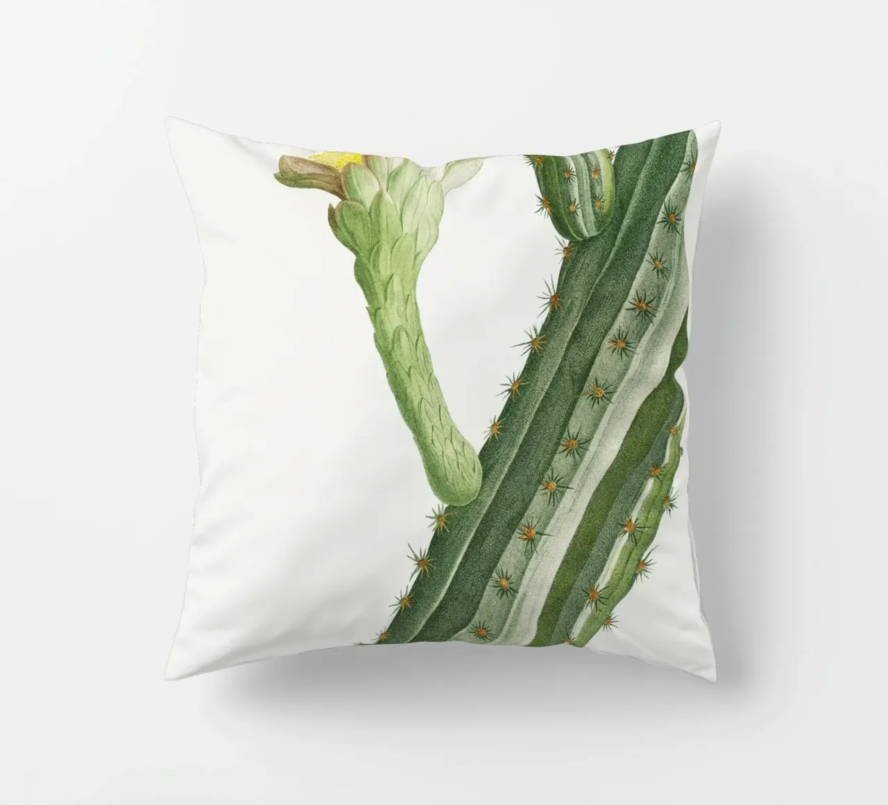 Cactus Peruvianus cuscino da vintageshop