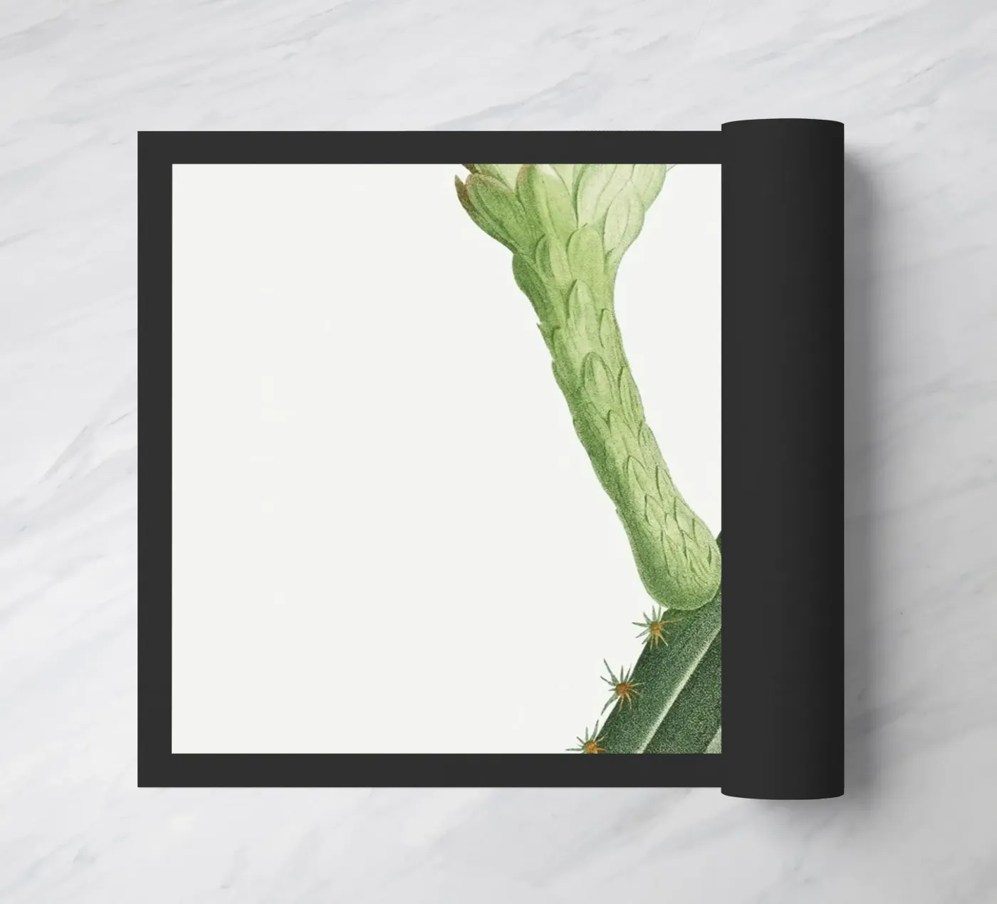 Cactus Peruvianus Fußmatte von vintageshop