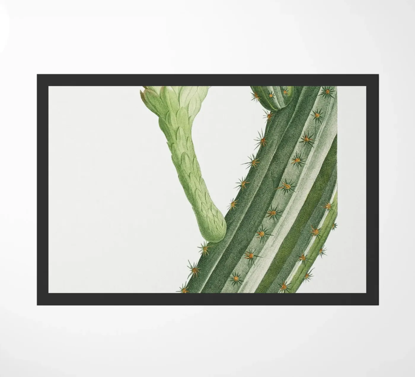 Cactus Peruvianus Fußmatte von vintageshop