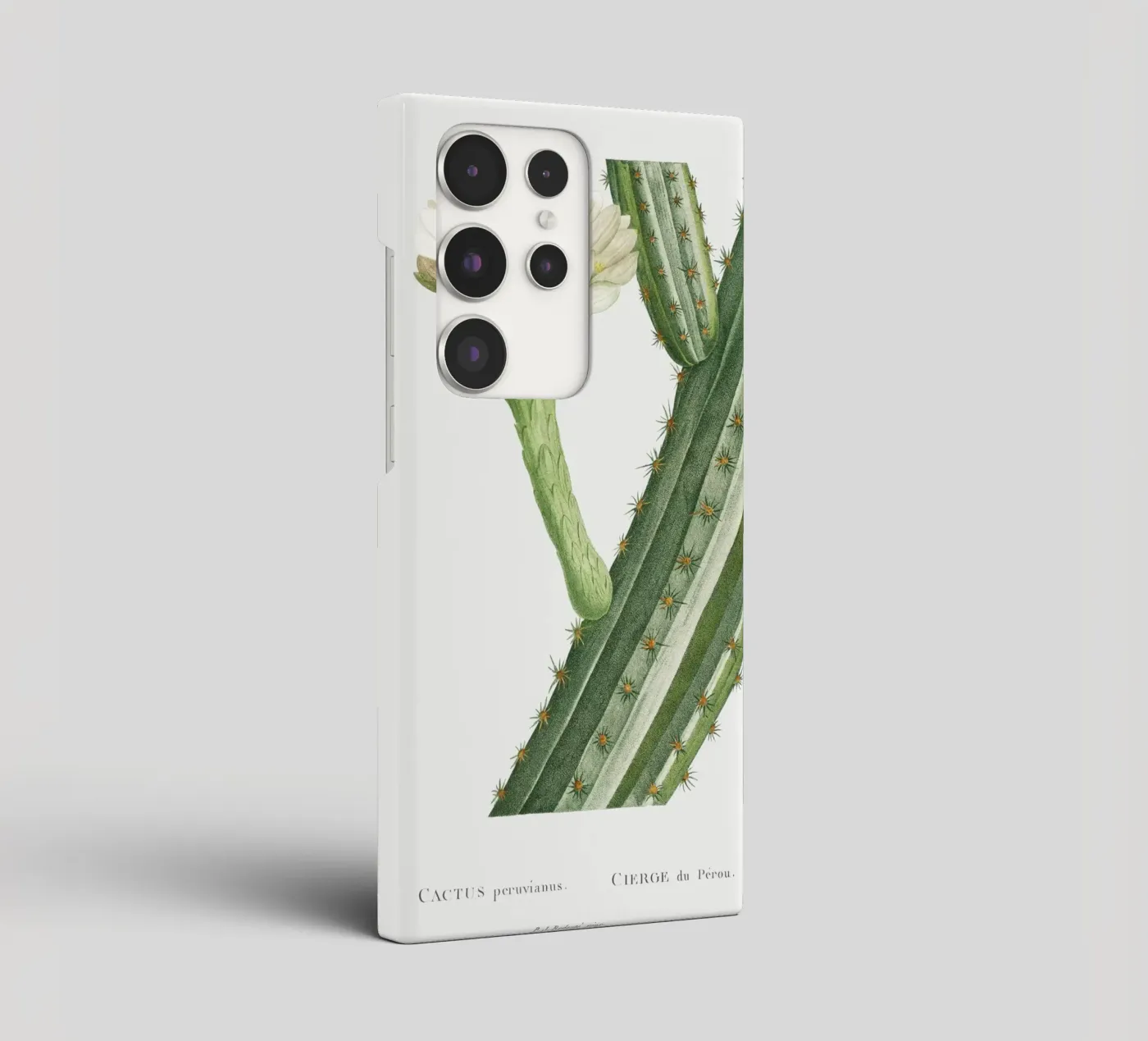 Cactus Peruvianus cover samsung da vintageshop