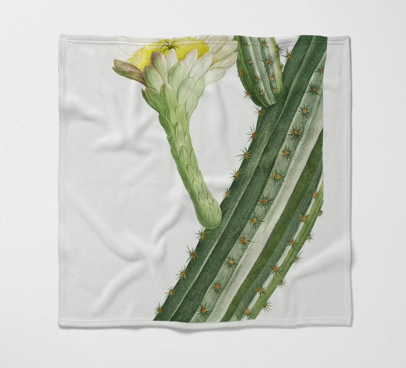 Cactus Peruvianus fleecedeken van vintageshop
