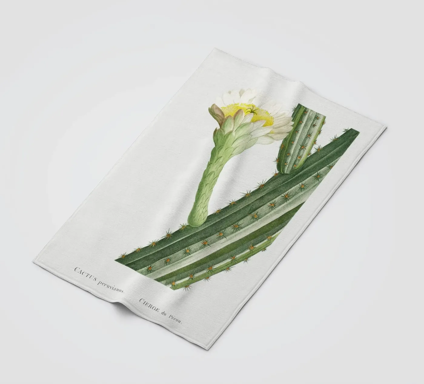 Cactus Peruvianus fleecedeken van vintageshop