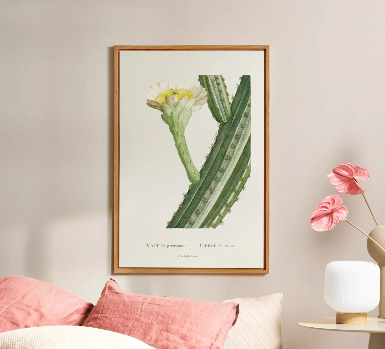Cactus Peruvianus pannello forex da vintageshop
