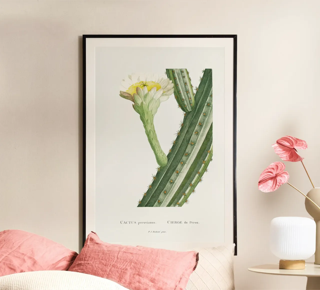 Cactus Peruvianus carta hahnemühle da vintageshop