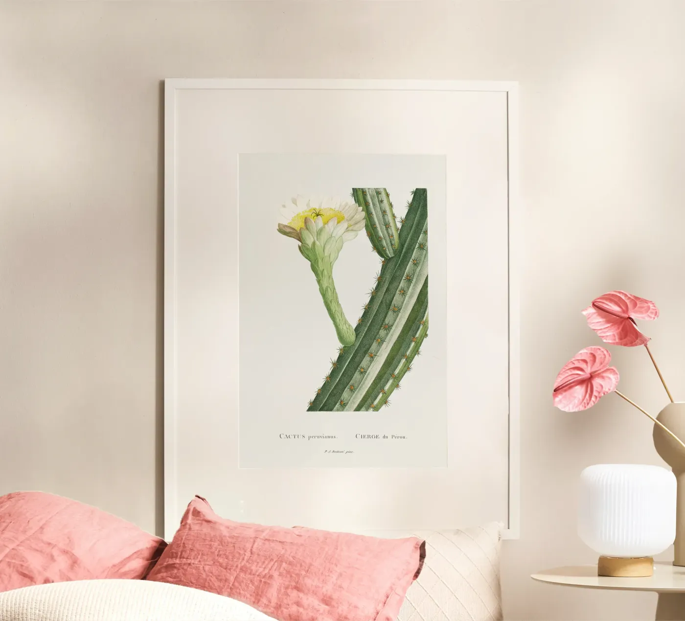 Cactus Peruvianus poster by vintageshop