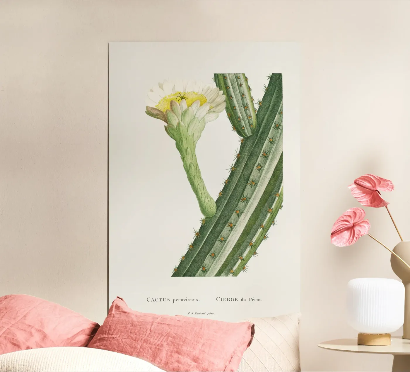 Cactus Peruvianus poster by vintageshop