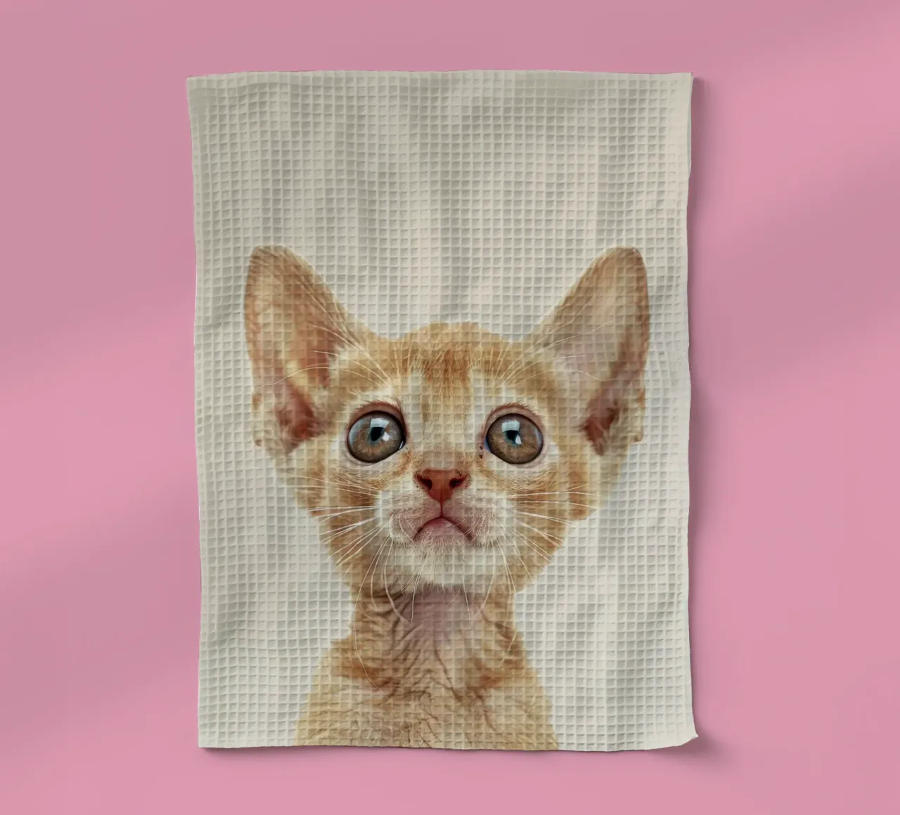 Neugieriges Ginger Devon Rex Kätzchen Geschirrtuch von DesignDoodle