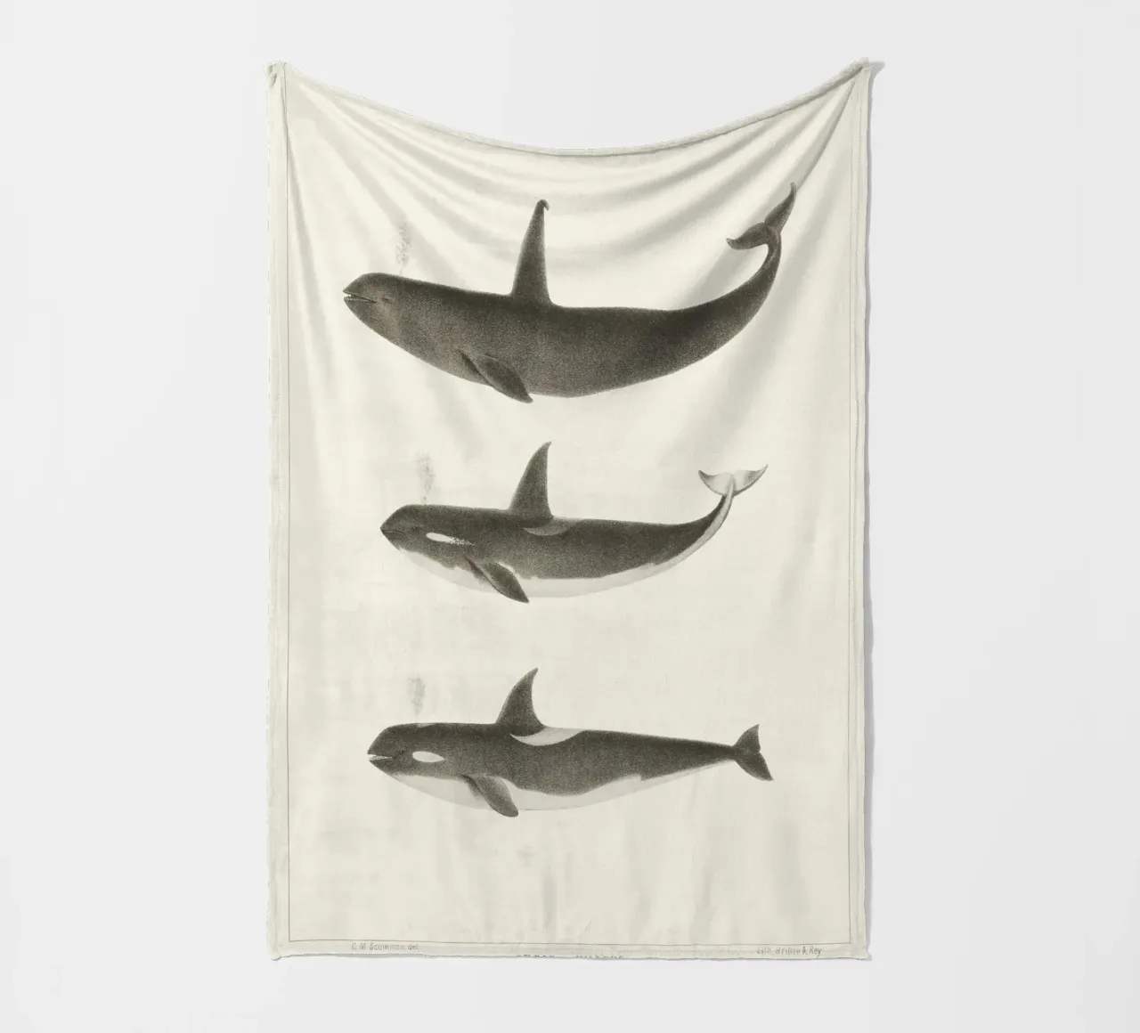 Orca or Killer whale coperta in pile da vintageshop