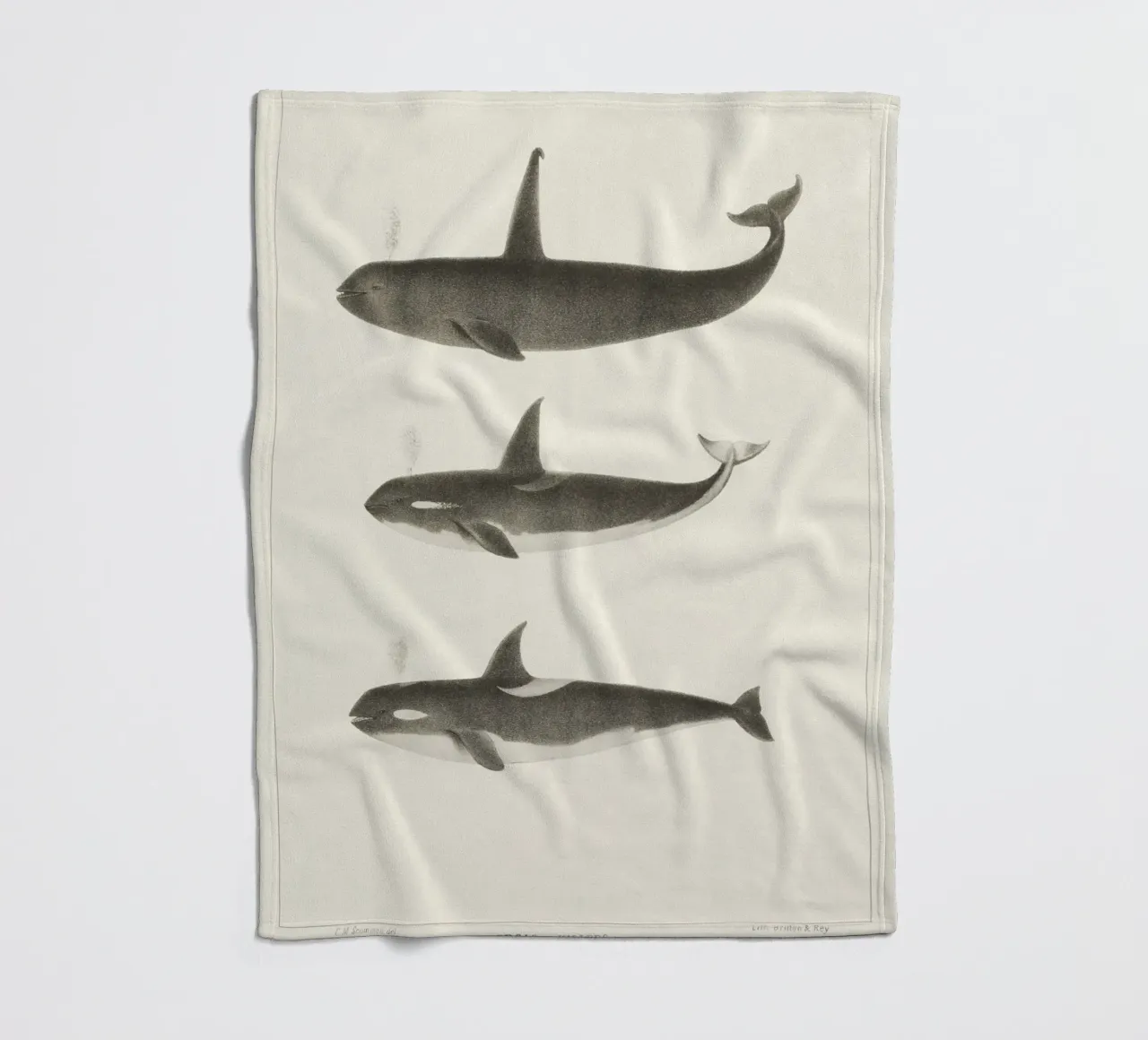 Orca or Killer whale coperta in pile da vintageshop