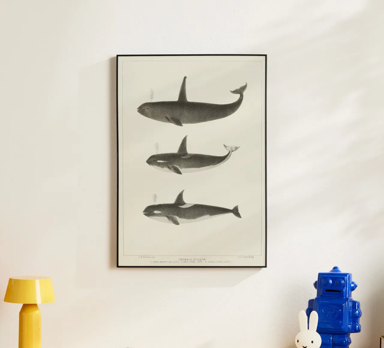 Orca or Killer whale alluminio dibond da vintageshop