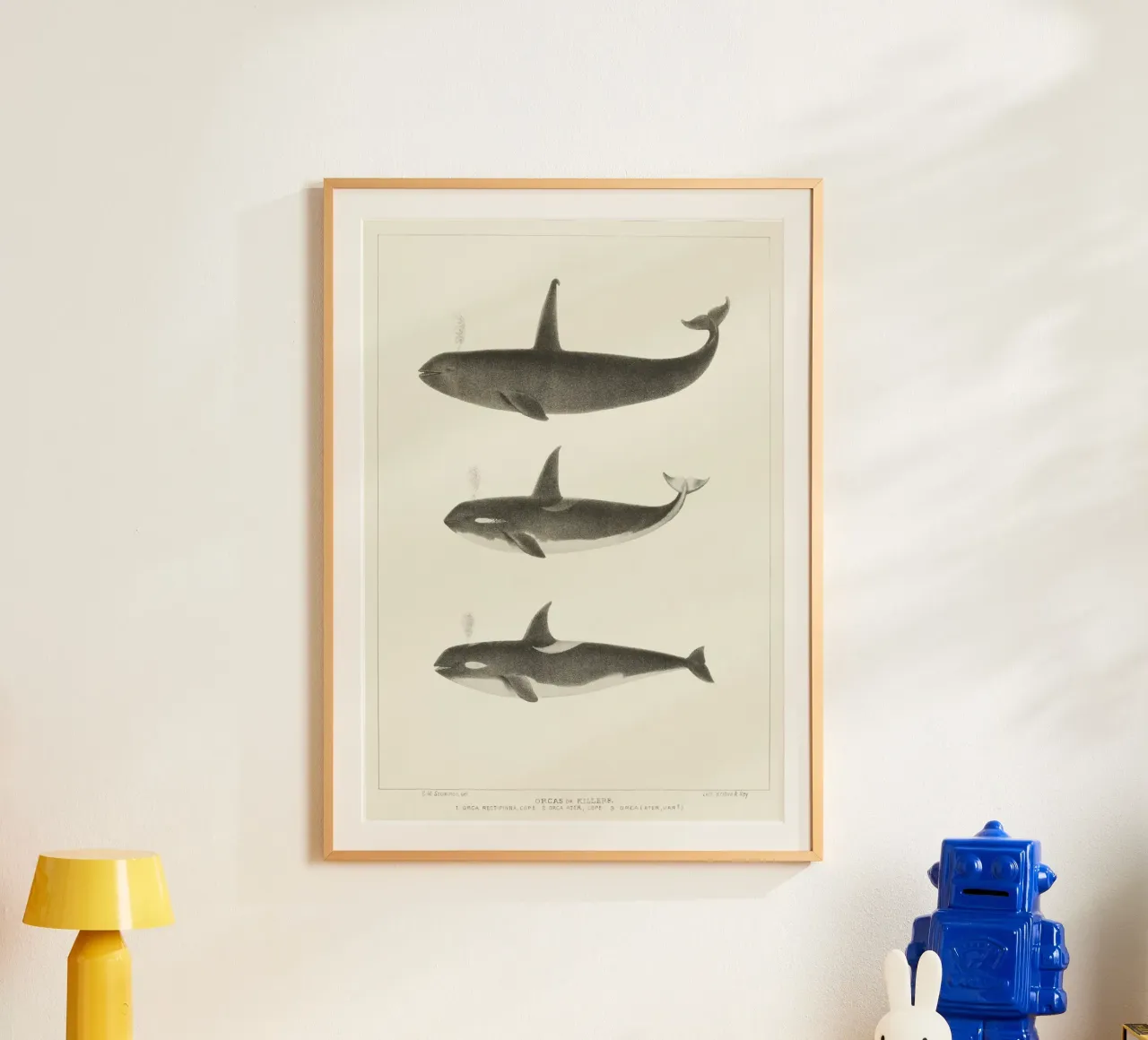 Orca or Killer whale carta hahnemühle da vintageshop