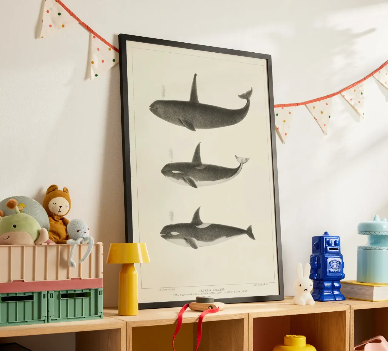 Orca or Killer whale carta hahnemühle da vintageshop