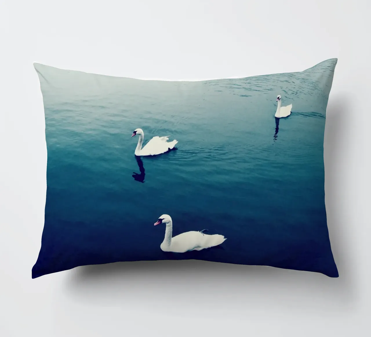 Swan Family in the Lake decorative cushion by KISSA STUDIO