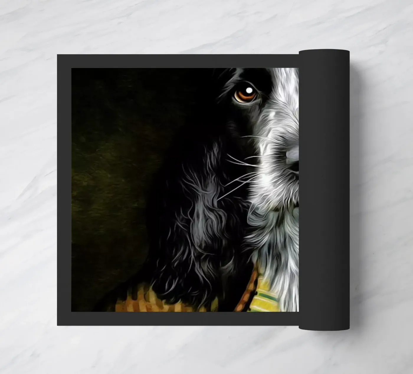 Charly paillasson de Tein Lucasson