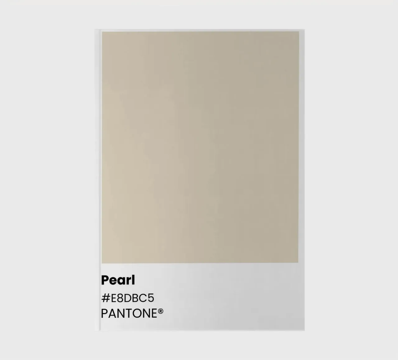 Pantone Pearl Color notebook by ColorShop