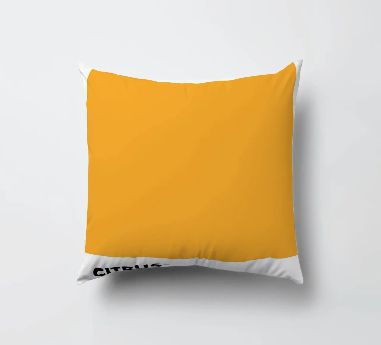 PANTONE CITRUS cuscino da ColorShop