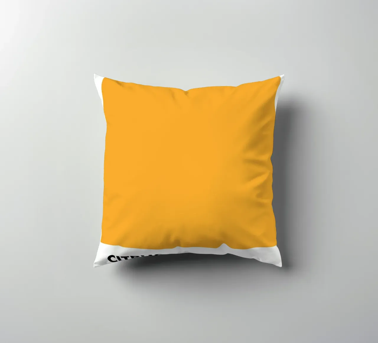 PANTONE CITRUS cuscino da ColorShop