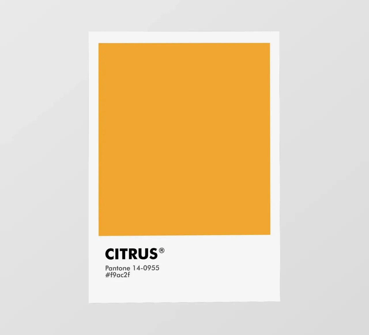 PANTONE CITRUS telo in pvc da ColorShop