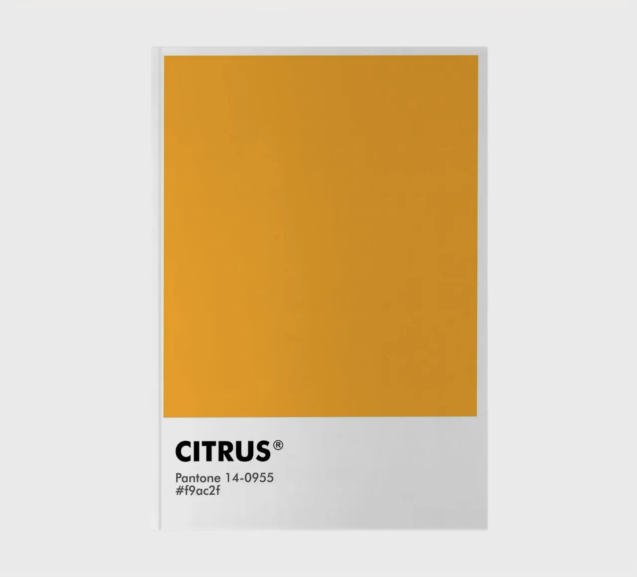 PANTONE CITRUS notebook by ColorShop