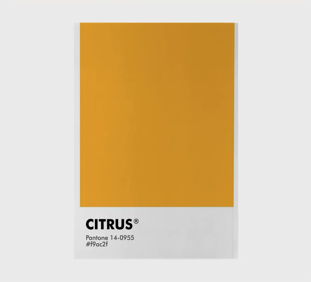 PANTONE CITRUS notebook by ColorShop