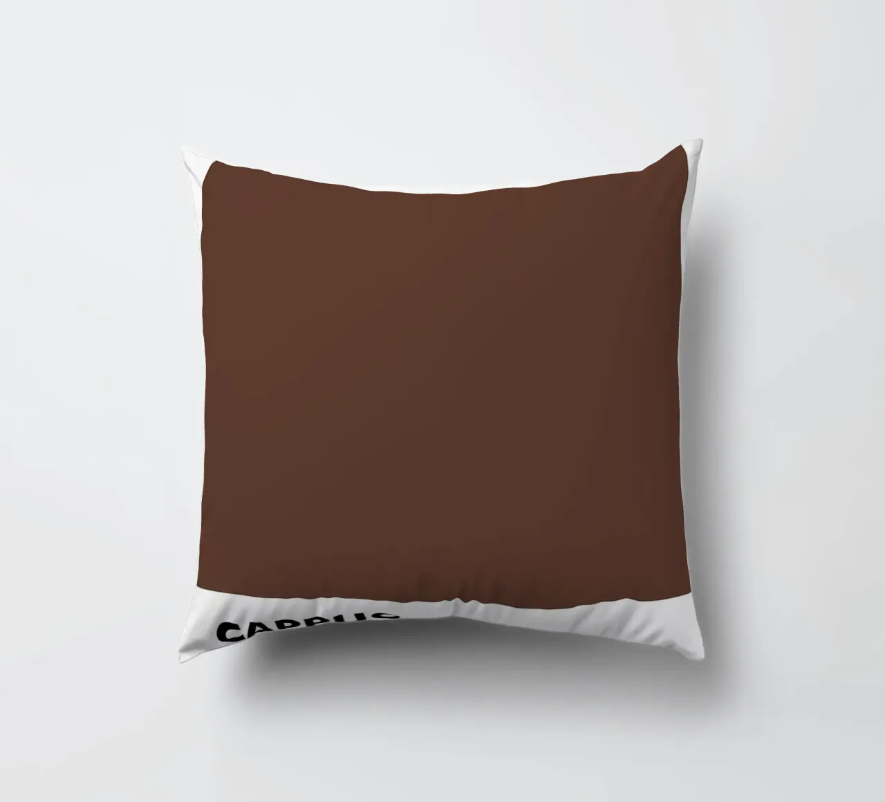 PANTONE CAPPUCCINO cuscino da ColorShop