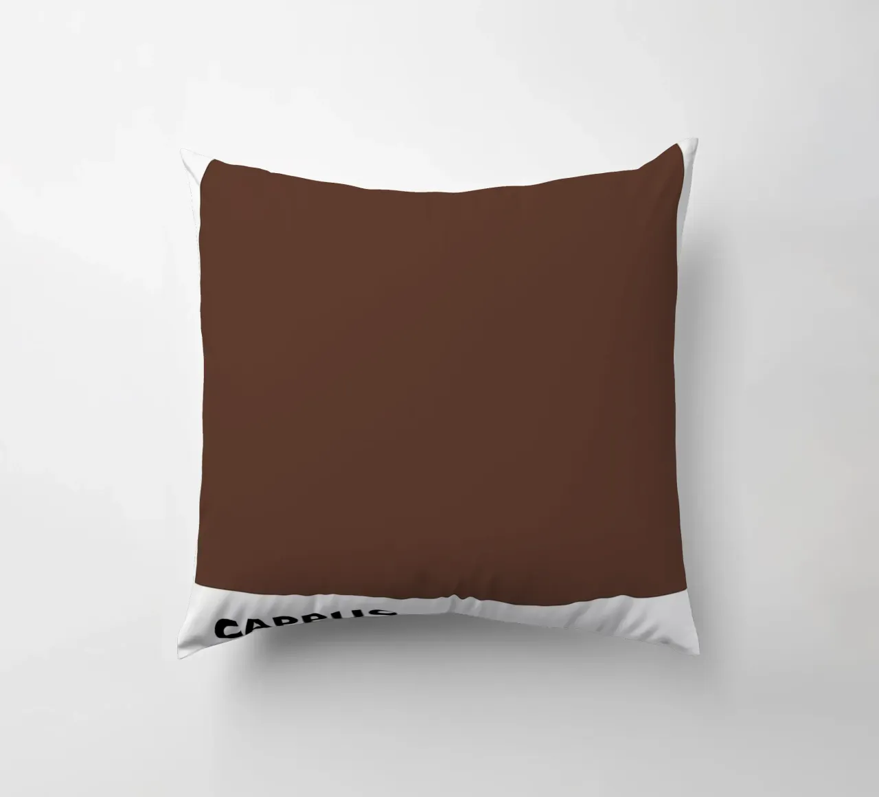 PANTONE CAPPUCCINO cuscino da ColorShop