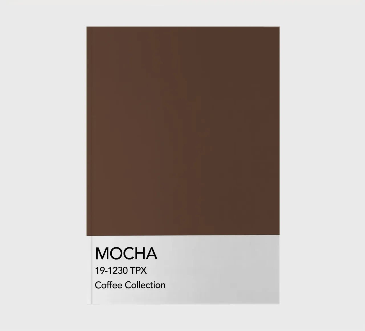 Mocha Coffee Pantone Color notebook by ColorShop
