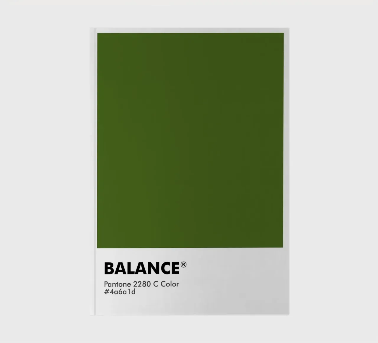 PANTONE BALANCE notebook by ColorShop