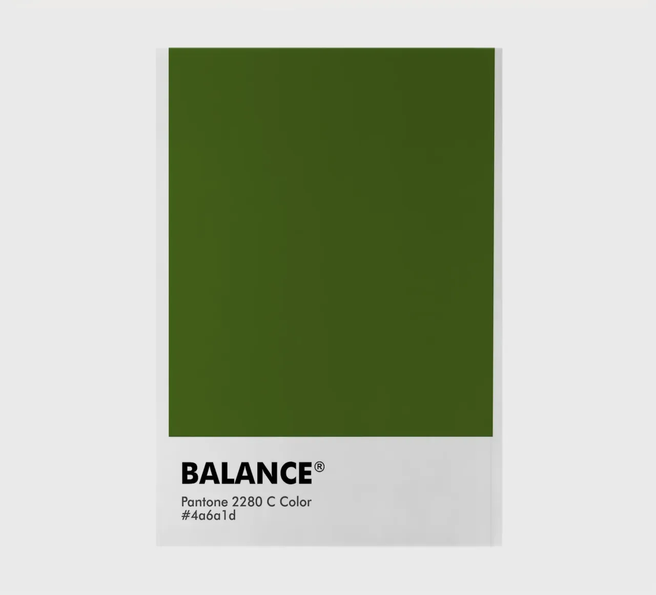 PANTONE BALANCE notebook by ColorShop