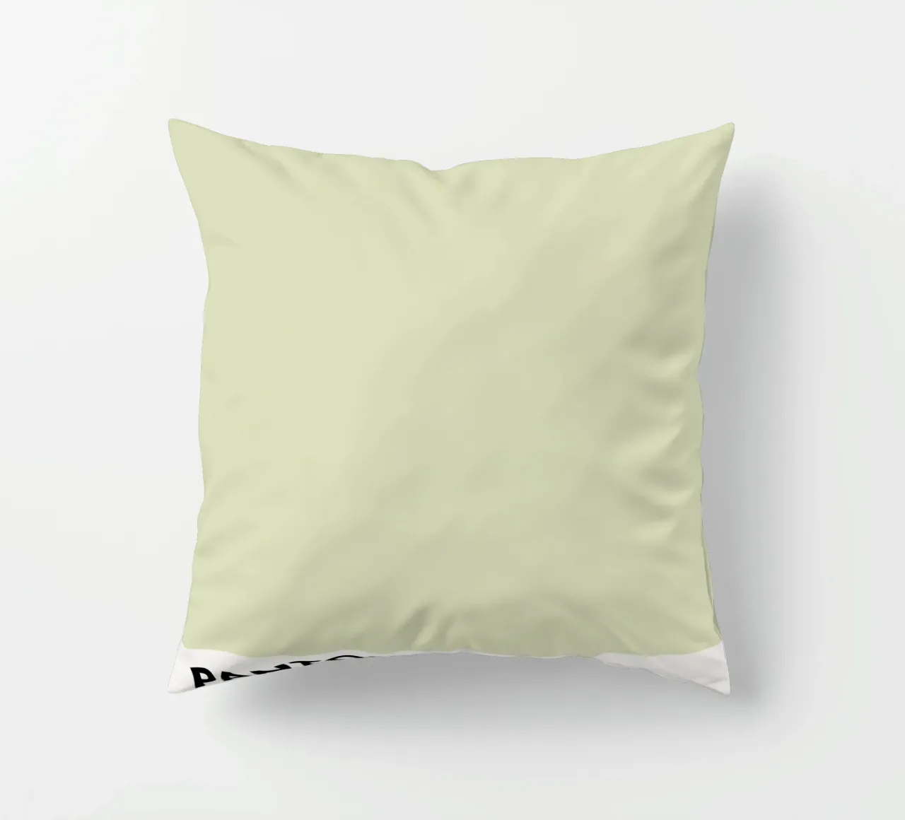 pantone color palette cuscino da ColorShop