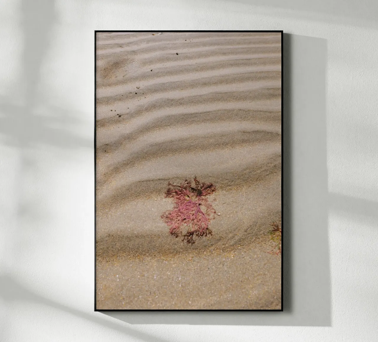 Strandlinie plexiglass da Wild Horizon Studio