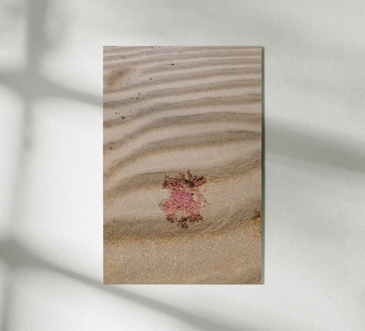 Strandlinie plexiglass da Wild Horizon Studio