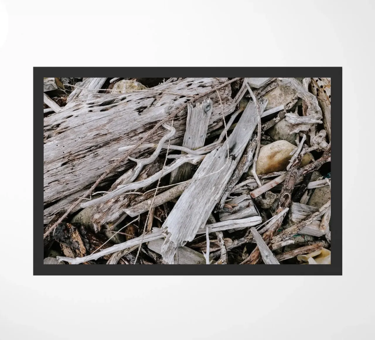 Gezeitengeflecht zerbino da Wild Coast Studio