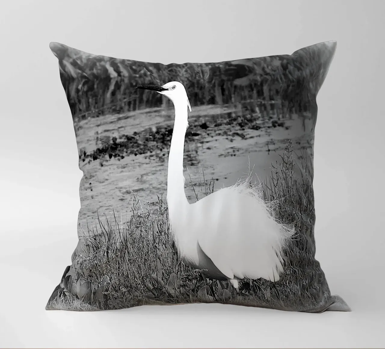 BW 71 cuscino da Thierry vobmann photography